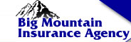 Big Mountain Insurance